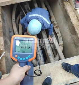 乐陵管线探测